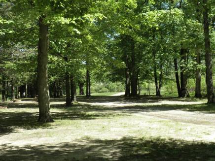 The "back yard" of my childhood home:  Crystal Creek Campground.