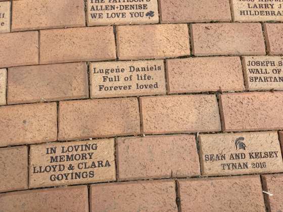 Alumni Bricks